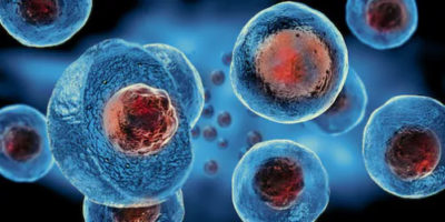 Stem cell research